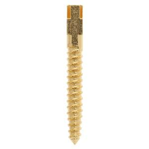 Screw Posts Gold Plated X-Long EL6 12/Bx