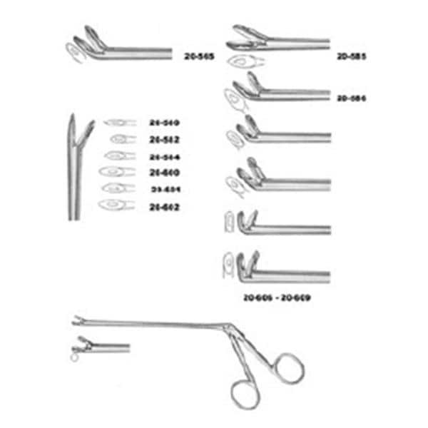 Wilde Nasal Forcep Stainless Steel Ea