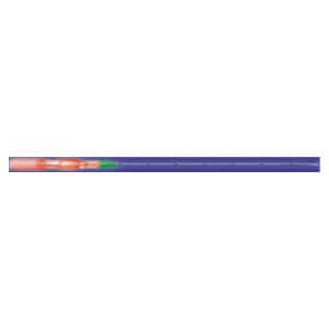 Needle Chiba 22gx10" Spinal Plastic Sterile Disposable Ea