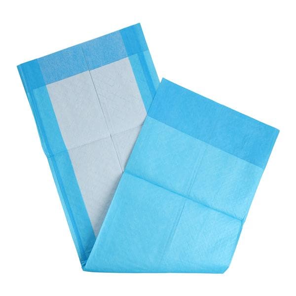 Incontinence Underpad Unisex 23x24" Absorbent White/Blue 200/Ca