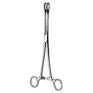 Foerster Sponge Forcep Straight 9-1/2" 12/Bx