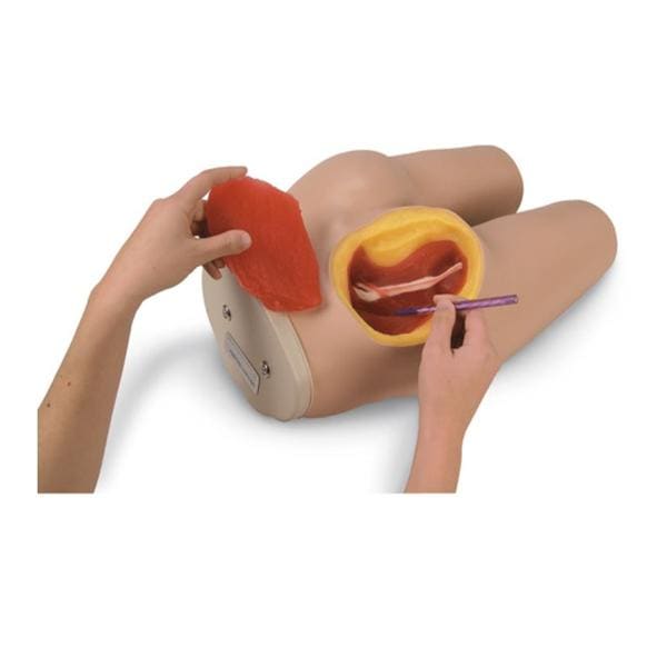 Life/form Intramuscular Injection Simulator Ea