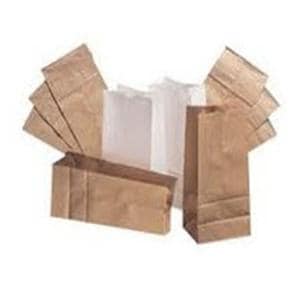 Brown Paper Bag #5 500/Pk