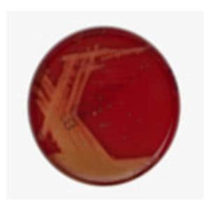 Monoplate Agar Columbia CNA w/ 5% Sheep Blood Monoplate 10/Pk