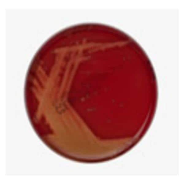 Monoplate Agar Columbia CNA w/ 5% Sheep Blood Monoplate 10/Pk