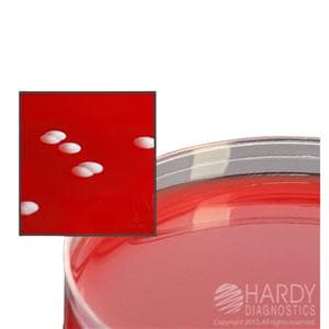 Phenylethyl Alcohol Agar Plate 5% Sheep Blood 15x100mm 10/Pk