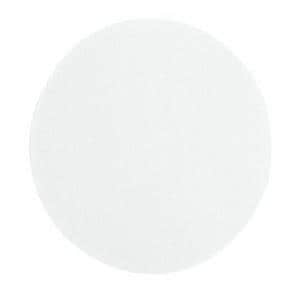Filter Paper White 240mm Circle 100/Pk