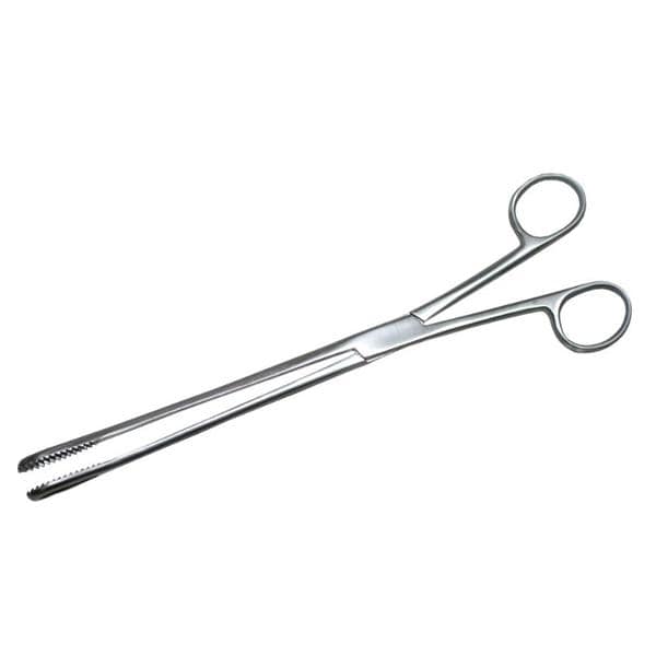 Boston Forcep Straight 343mm Ea