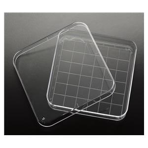 Petri Dish Polystyrene 110mL Square 100x15mm 500/Ca