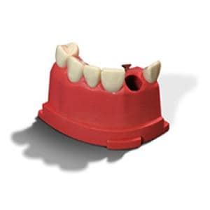 Acadental Teeth 07-12 M200 Model Ea
