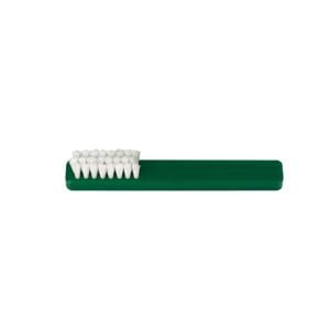 Brush Disposable 10/Pk