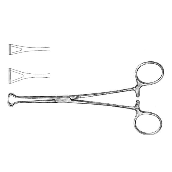 Babcock Tissue Forcep 8" Ea