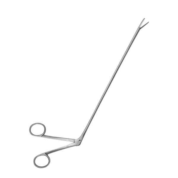 Alligator Forcep 10" Ea