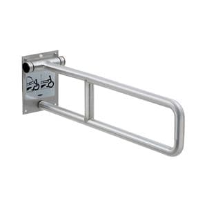 Swing-Up Grab Bar