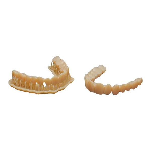 Denture Teeth 1/Bx