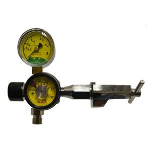 Oxygen Regulator Pediatric Ea