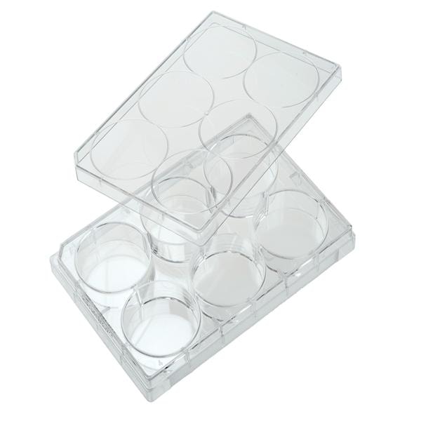 Tissue Culture Treated Plate Polystyrene Flat Bottom 100/Ca