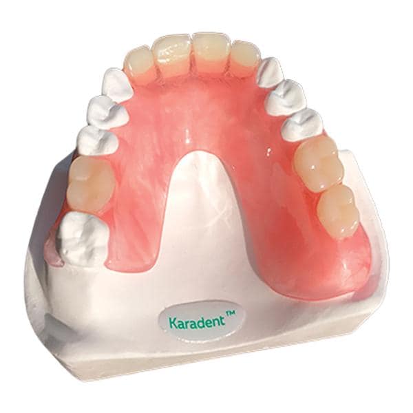 TCS Karadent Partial Denture Sample Model Ea