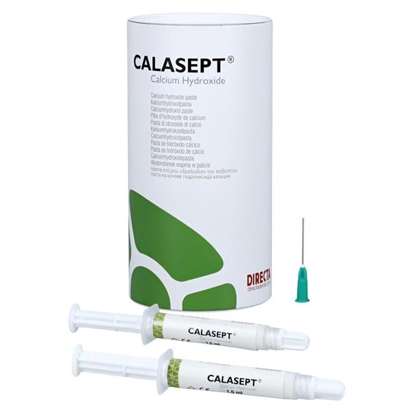 Calasept Paste Temporary Sealer Ea