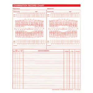 Exam Record Dental Charts 2-Sided White 100/Pk