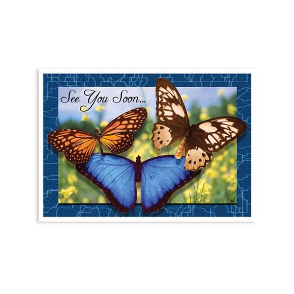 Imprinted Recall Cards 3 Butterflies 4 in x 6 in 250/Pk