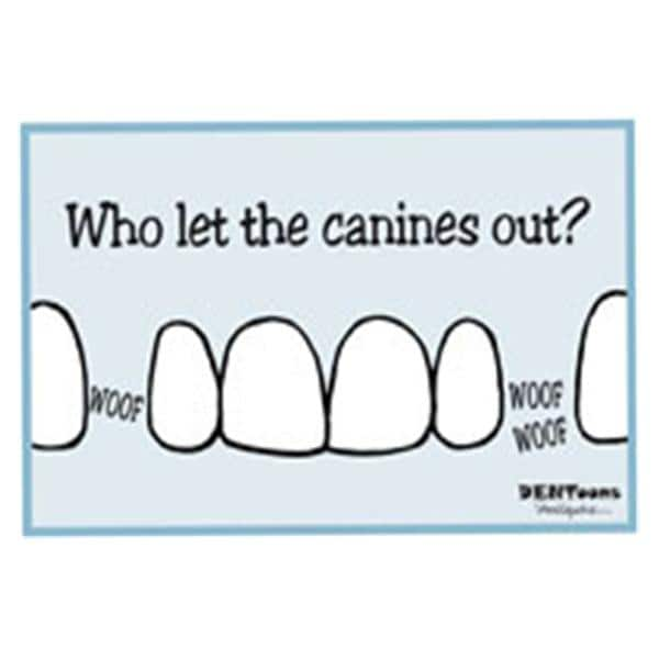 Imprinted Recall Cards Dentoon Canines 4 in x 6 in 250/Pk