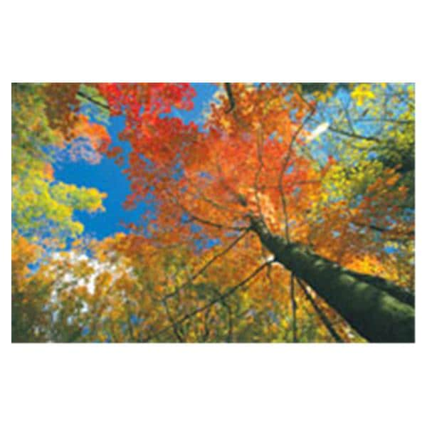 CeilingScenes Acoustic Tile Fall Tree Sky 4-Tiles Square 24 in x 24 in Ea