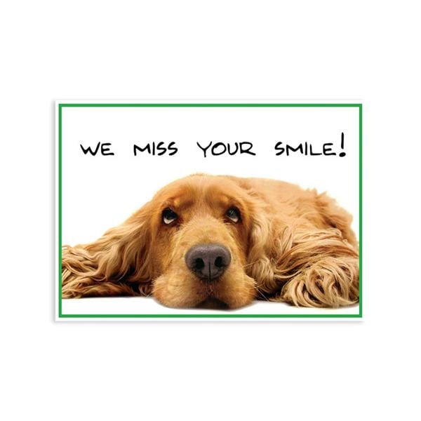 Imprinted Recall Cards Dog We Miss Smile 4 in x 6 in 250/Pk