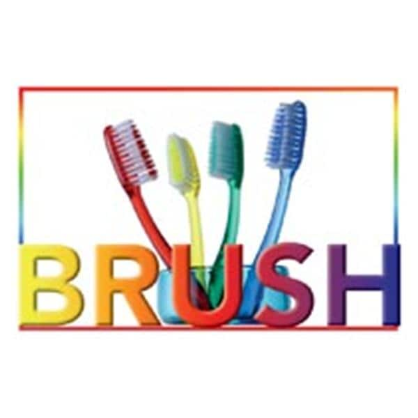 Imprinted Recall Cards Brush 4 Brushes 4 in x 6 in 250/Pk