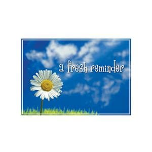 Imprinted Recall Cards Daisy 4 in x 6 in 250/Pk