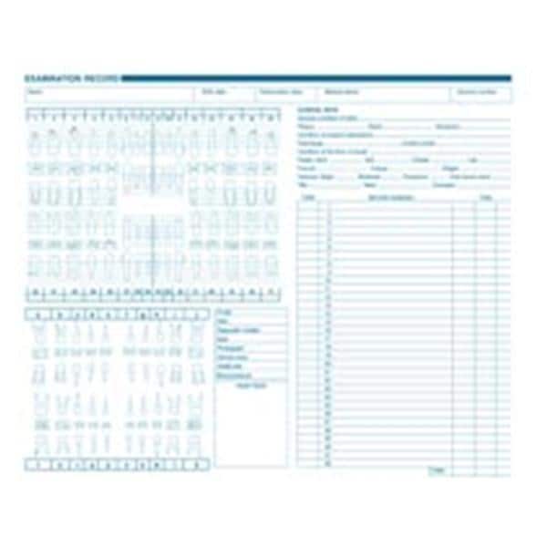 Exam Record Dental Charts With Anatomic & Periodontic Diagrams 250/Pk