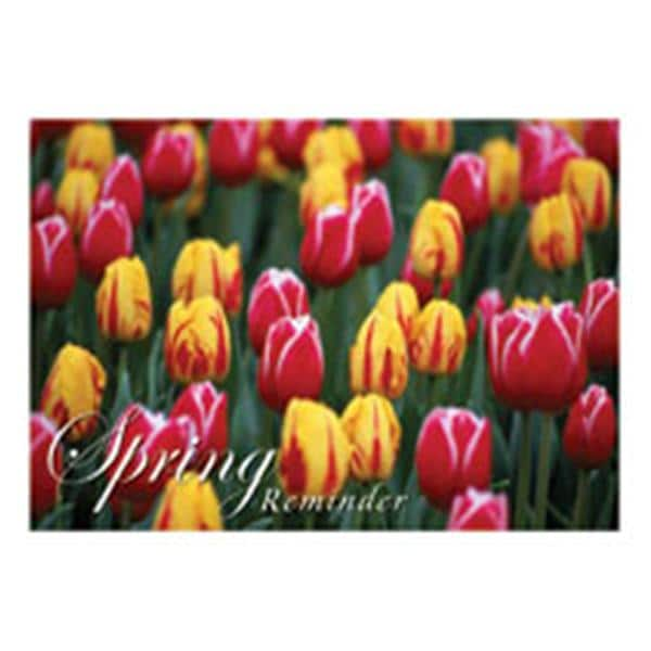 Imprinted Recall Cards Reminder Spring 4 in x 6 in 250/Pk