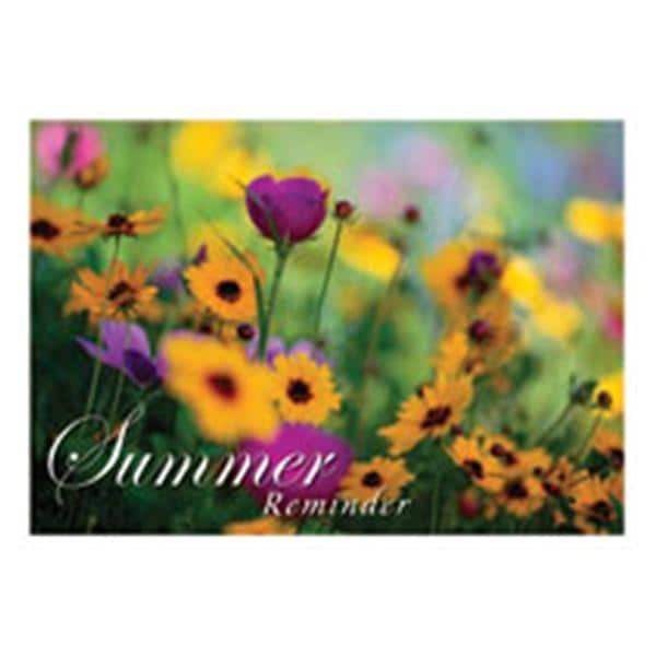 Imprinted Recall Cards Reminder Summer 4 in x 6 in 250/Pk