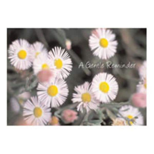 Imprinted Recall Cards Reminder Flower 4 in x 6 in 250/Pk