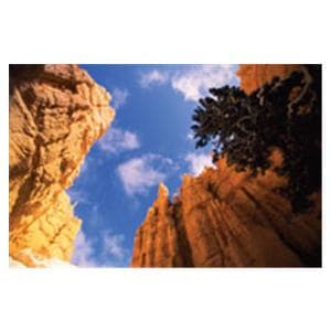 CeilingScenes Light Lens Stone Canyon 1-Tile Horizontal 48 in x 24 in Ea