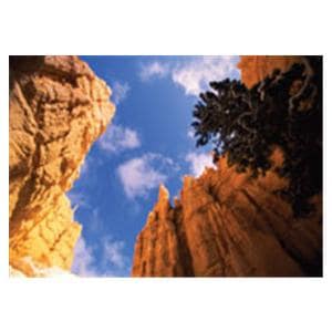 CeilingScenes Acoustic Tile Stone Canyon 1-Tile Square 24 in x 24 in Ea