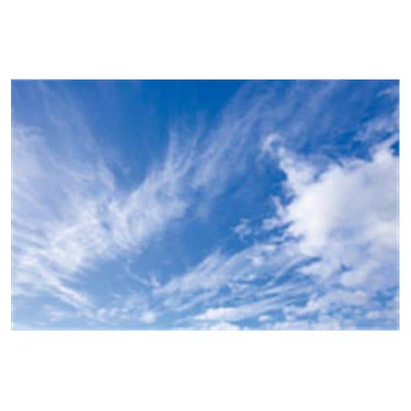 CeilingScenes Light Lens Fall Clouds 1-Tile Square 24 in x 24 in Ea