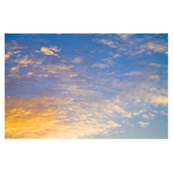 CeilingScenes Light Lens Rising Sun 1-Tile Square 24 in x 24 in Ea