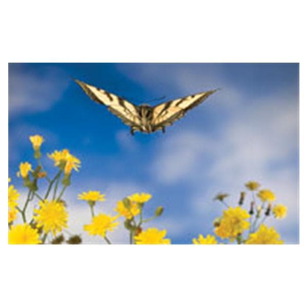 CeilingScenes Light Lens Butterfly Landing 2-Tiles Horizontal 48 in x 24 in Ea