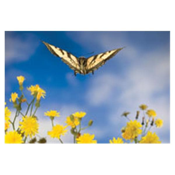 CeilingScenes Acoustic Tile Butterfly Landing 1-Tile Square 24 in x 24 in Ea