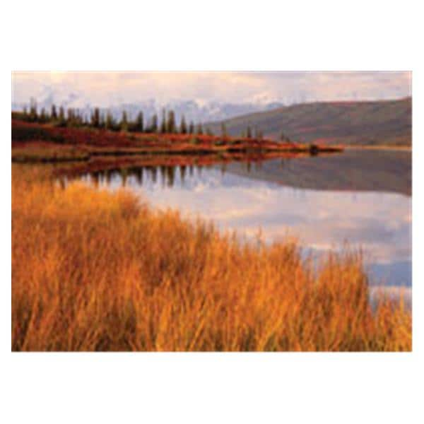 CeilingScenes Acoustic Tile Wonder Lake 1-Tile Square 24 in x 24 in Ea