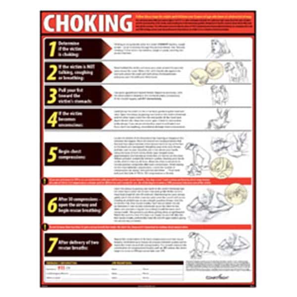 Poster Lifesaving Choking English Ea