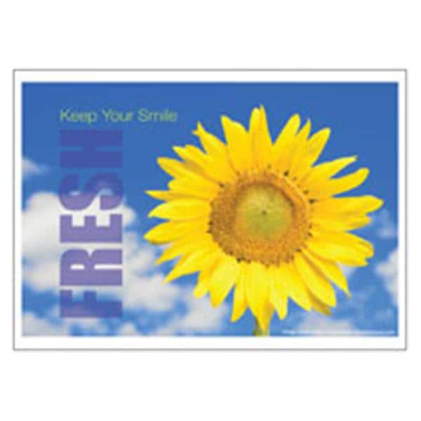 Imprinted Recall Cards Fresh Sunflower 4 in x 6 in 250/Pk