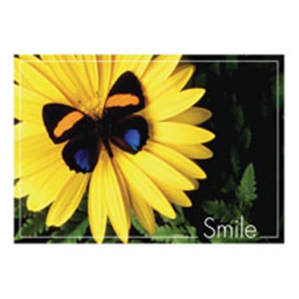 Laser 4-Up Recall Cards Butterfly Smile 8.5 in x 11 in 200/Pk