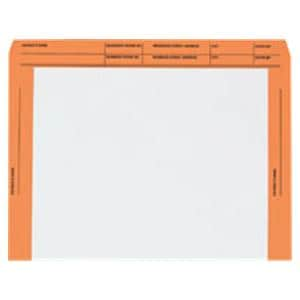 File Envelope Pre-Printed #28Orange 250/Bx