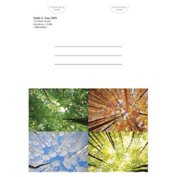 Imprinted Recall Cards Seasonal Trees 6 in x 4 in 250/Bx