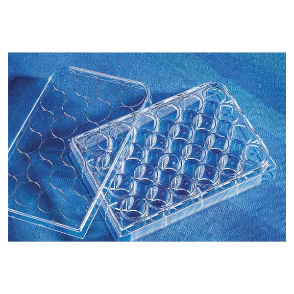 Costar Cell Culture Microplate Polystyrene 0.5mL 24 Wl/ TC Trtd Flt Btm 50/Ca