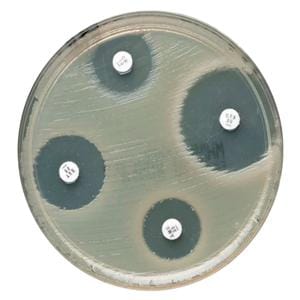 Oxoid Oxacillin Susceptibility Disk 5/Pk