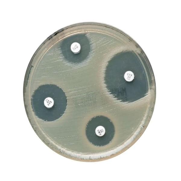 Oxoid Rifampin Susceptibility Disk 5/Pk