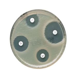 Oxoid Ceftazidime Susceptibility Disk 5/Pk